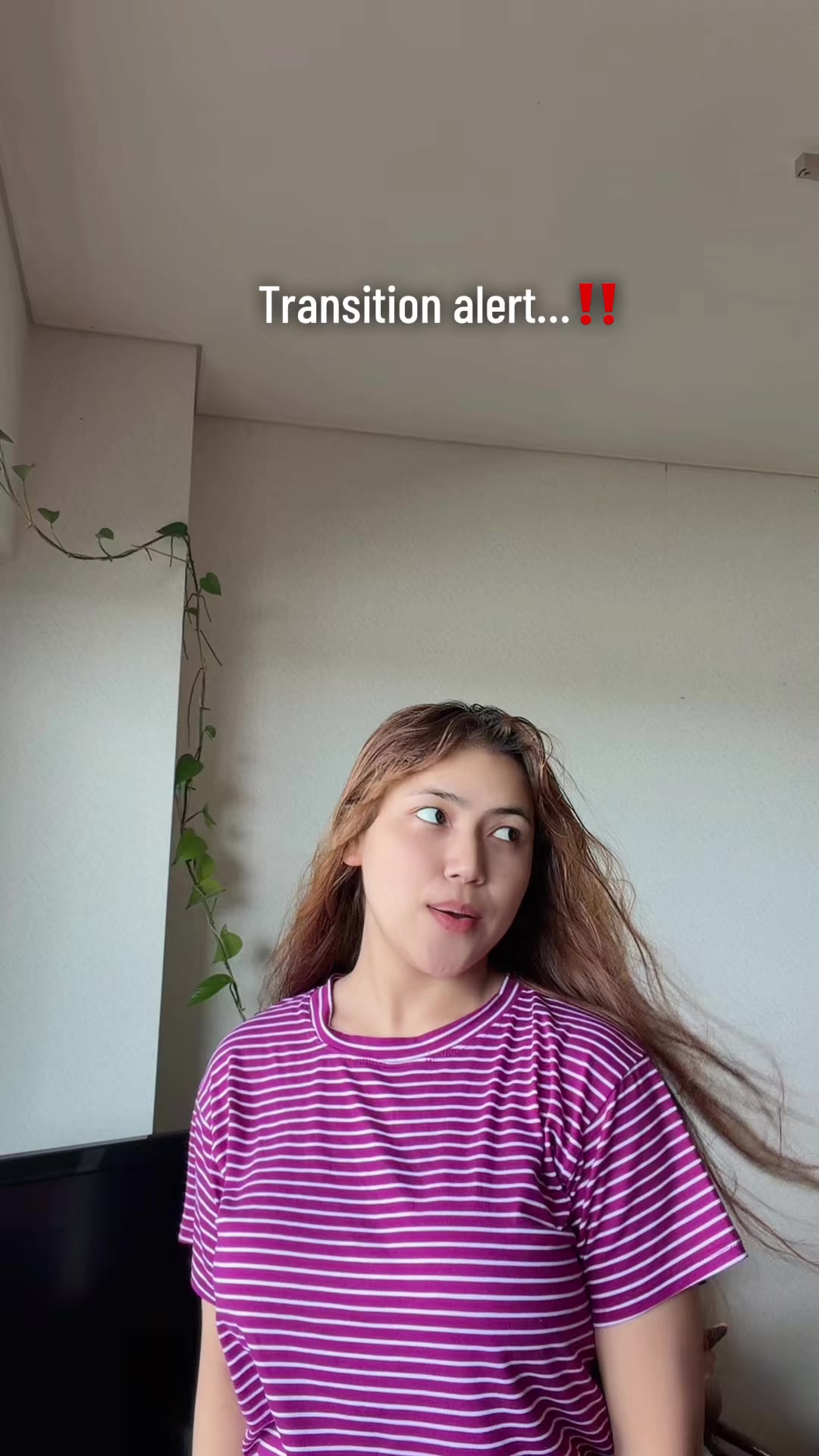 @🍣