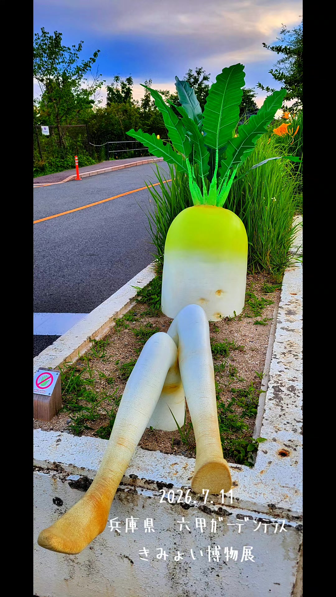@ðŒããŒã¿ãðŒ