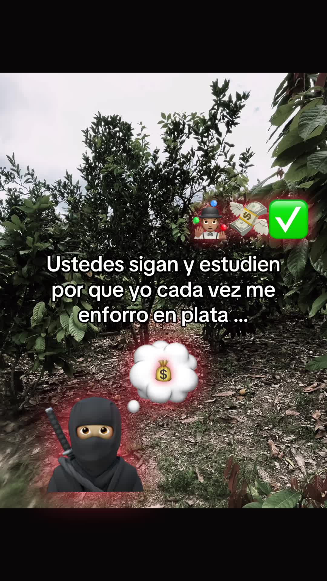 @🇪🇨⋆A⋆x⋆e⋆l 