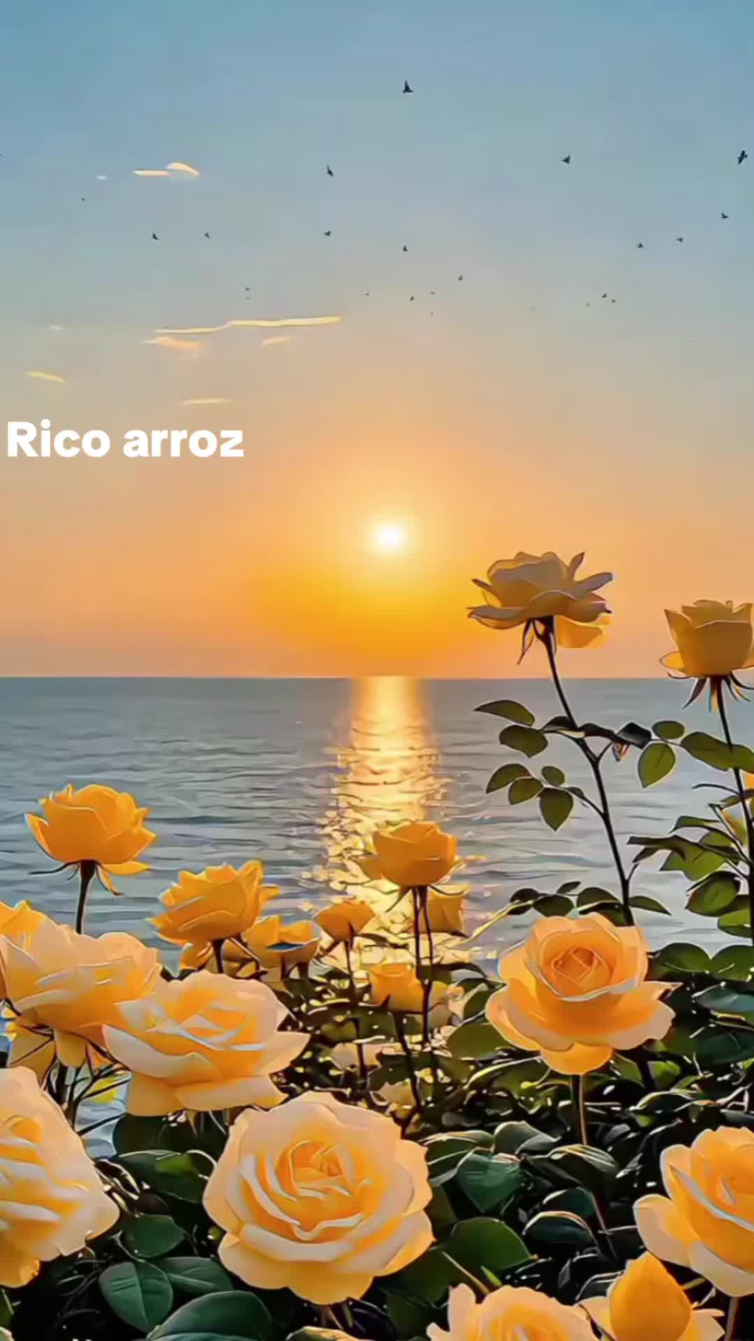 @Aliciag13