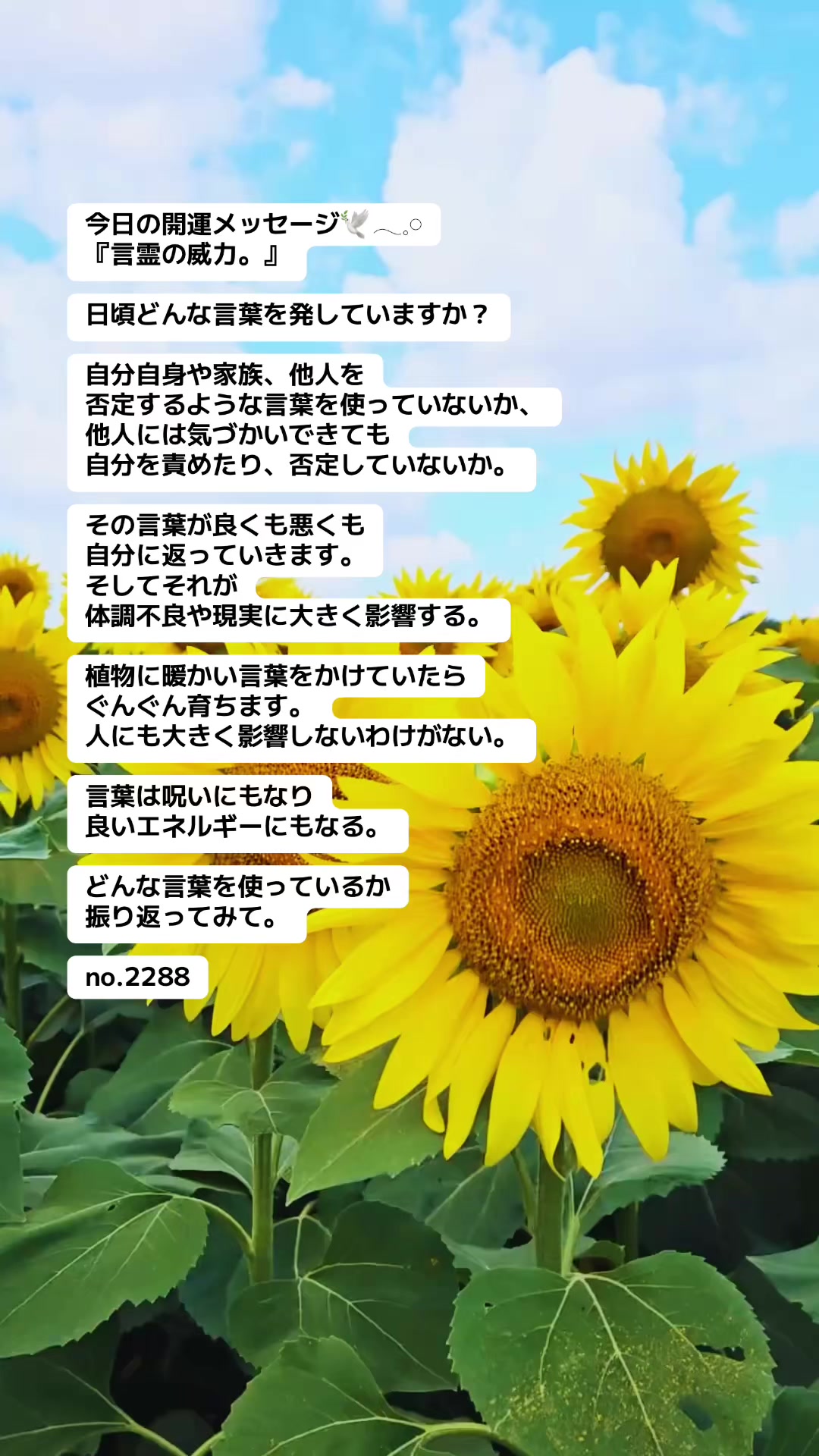 @あま姐さん🫧霊視ヒーラー
