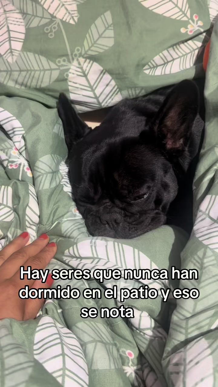 @Itzel Padilla