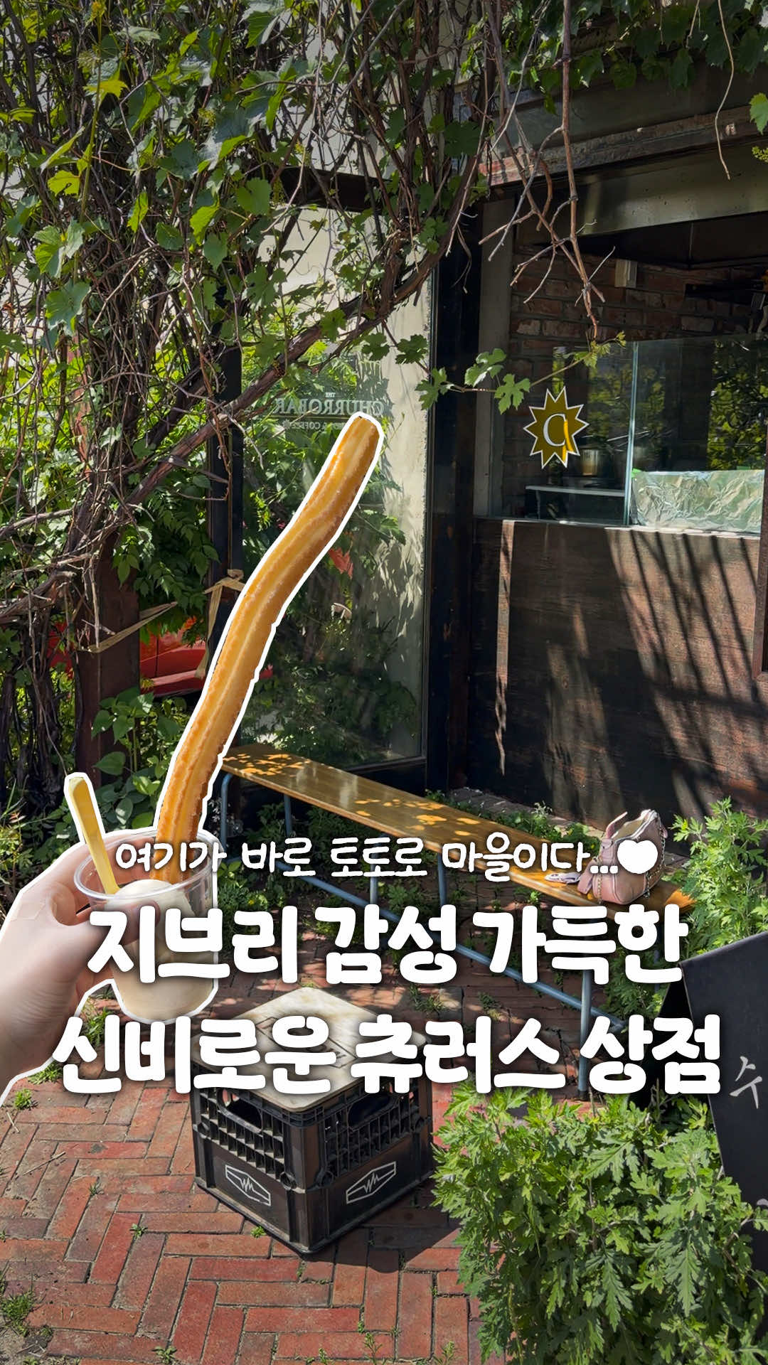 @일산갈고양