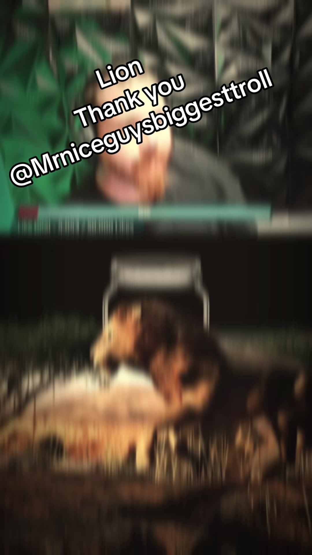 @๐MrNiceGuy๐๐ ๐ค๐๐ฆ๐ฅ