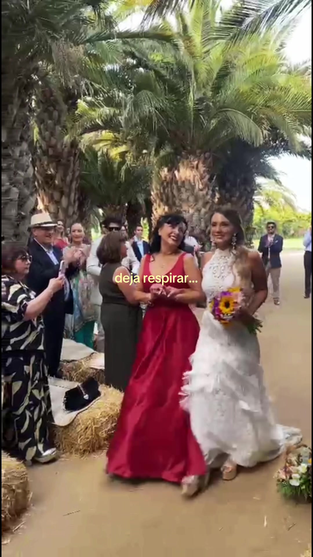@Paloma Fernanda