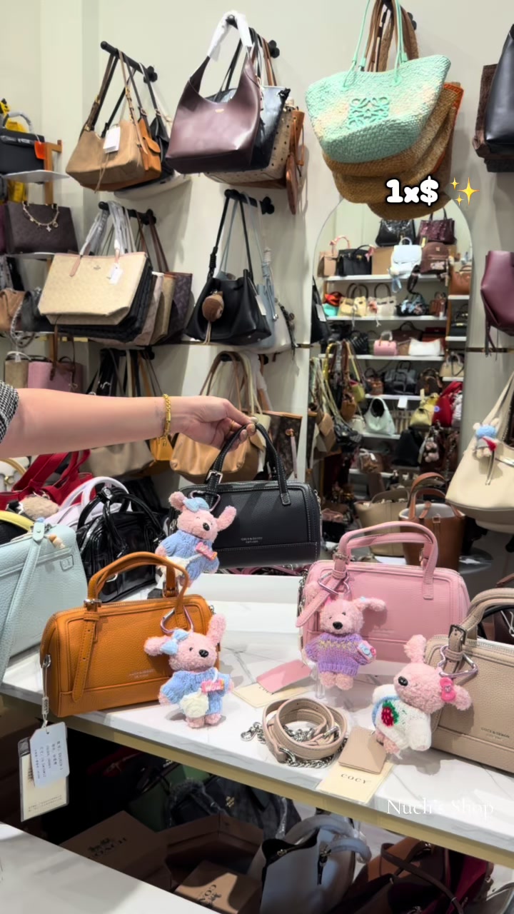 @Sn Bags