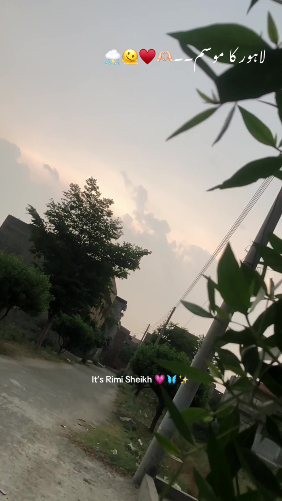 @♡𝙍𝙞𝙢𝙞 𝙎𝙝𝙚𝙞𝙠𝙝🌸🦢⋆ᥫ᭡