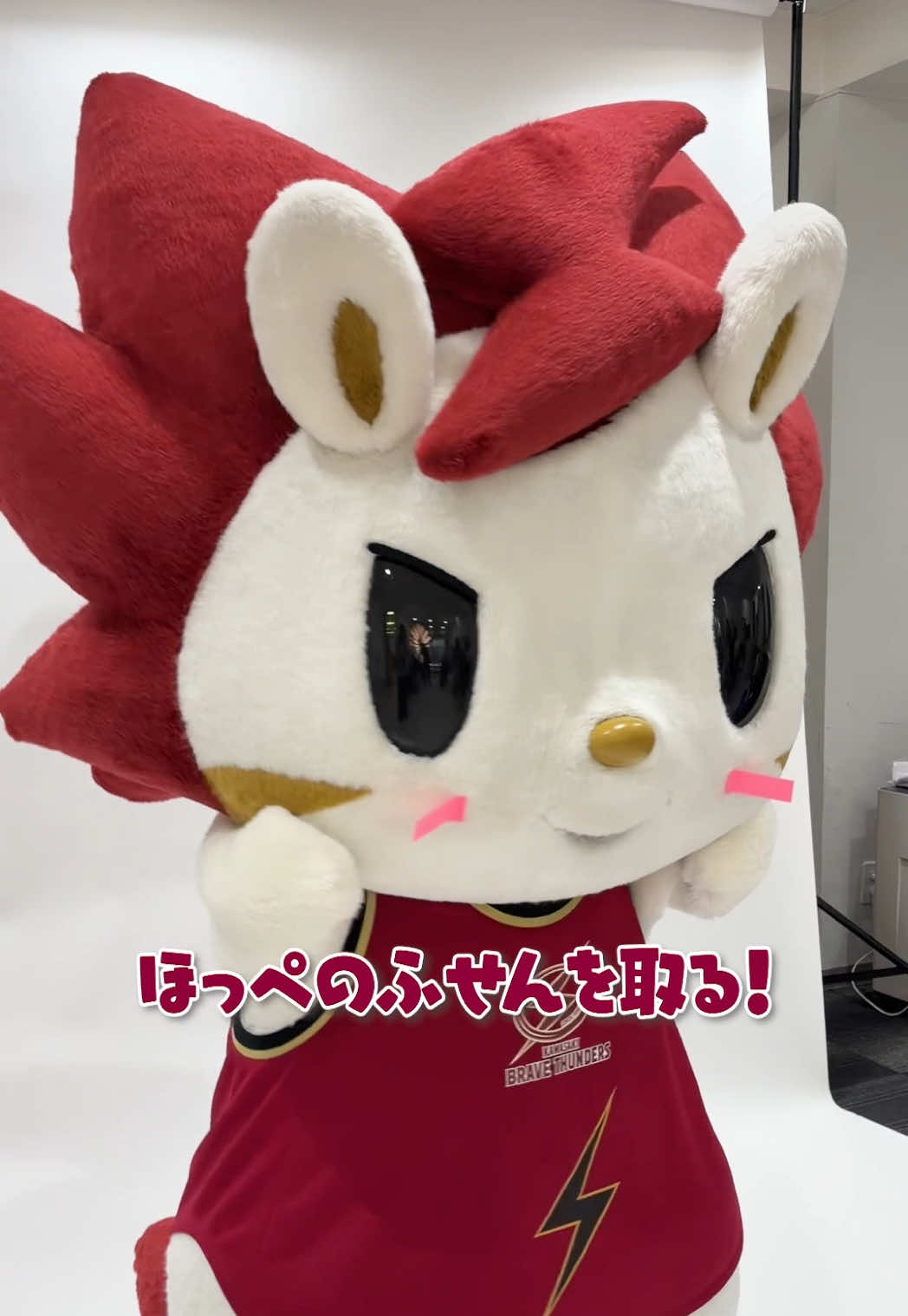 @ðâ¡ïžå·åŽãã¬ã€ããµã³ããŒã¹â¡ïžð