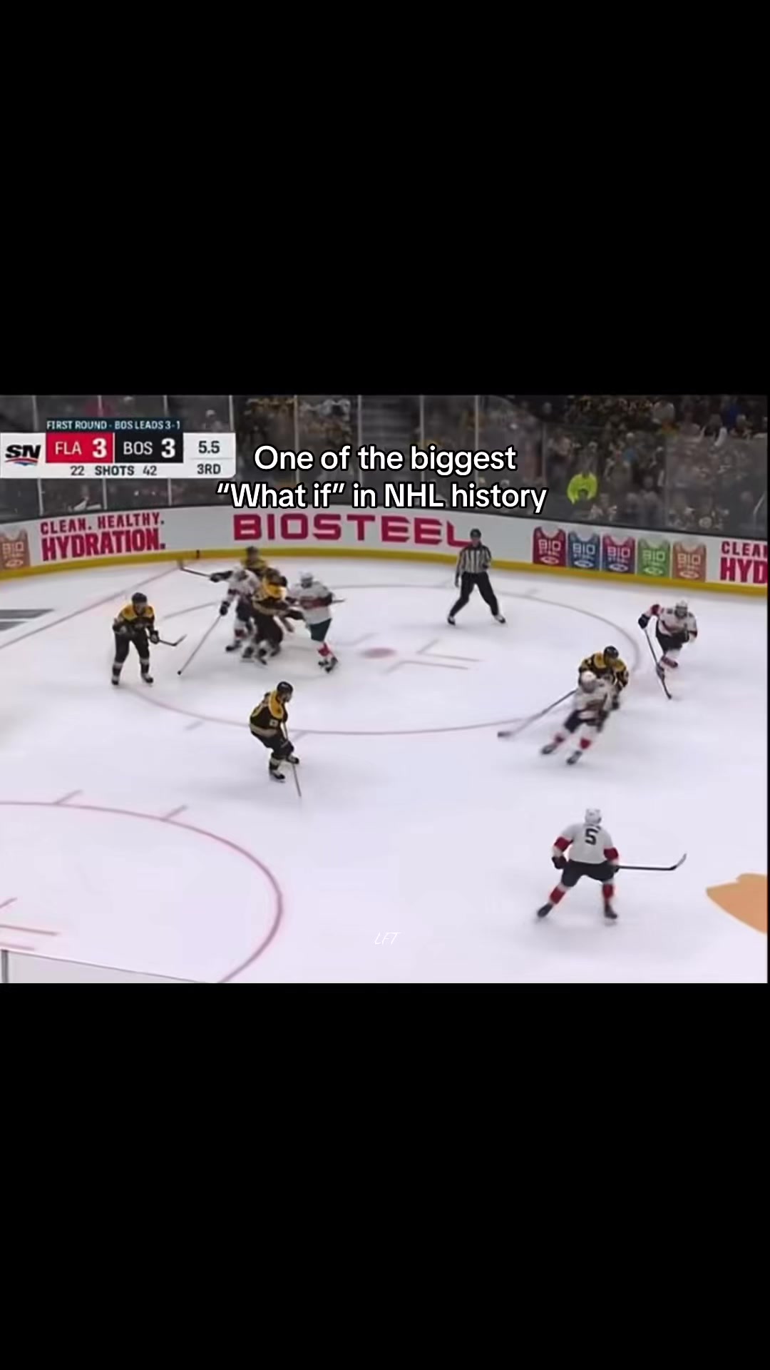 @leafsfantate