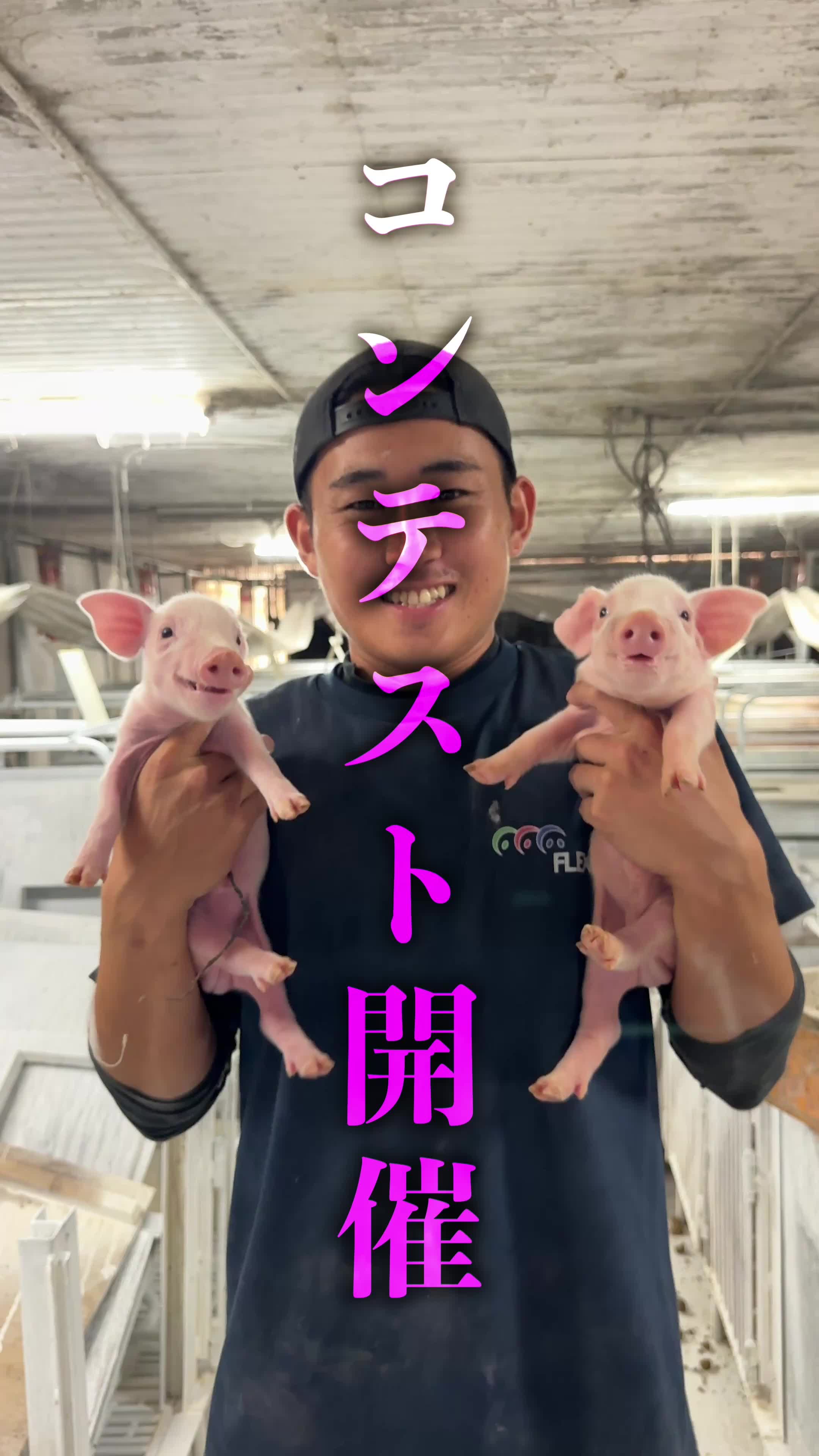 @小野友也ブタのお兄さん『命の恵』