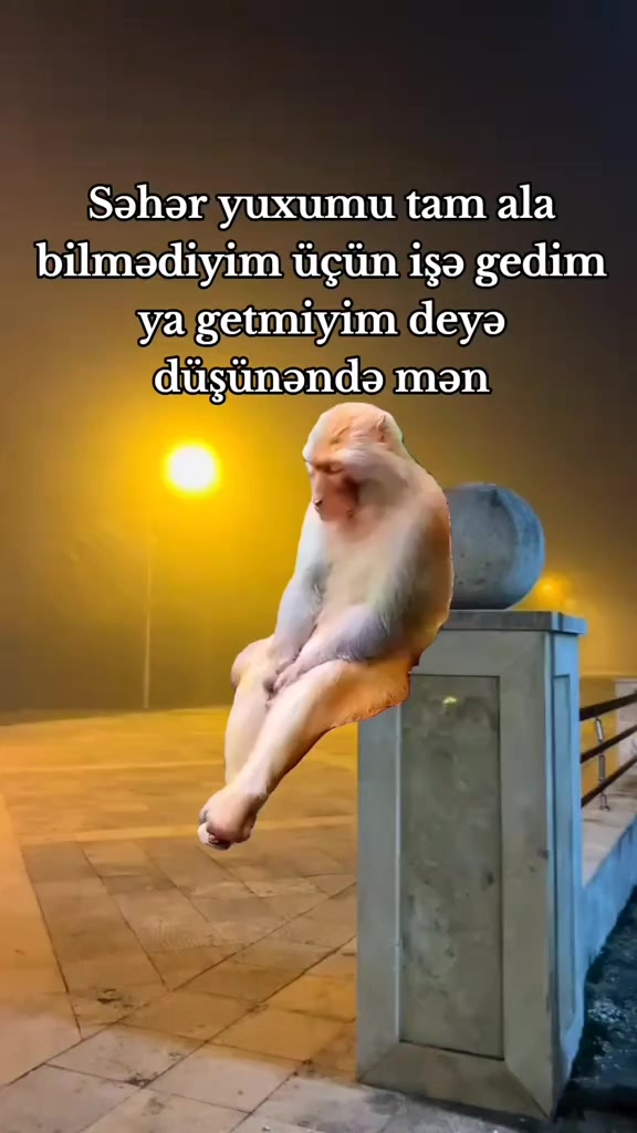 @Vəli Baba