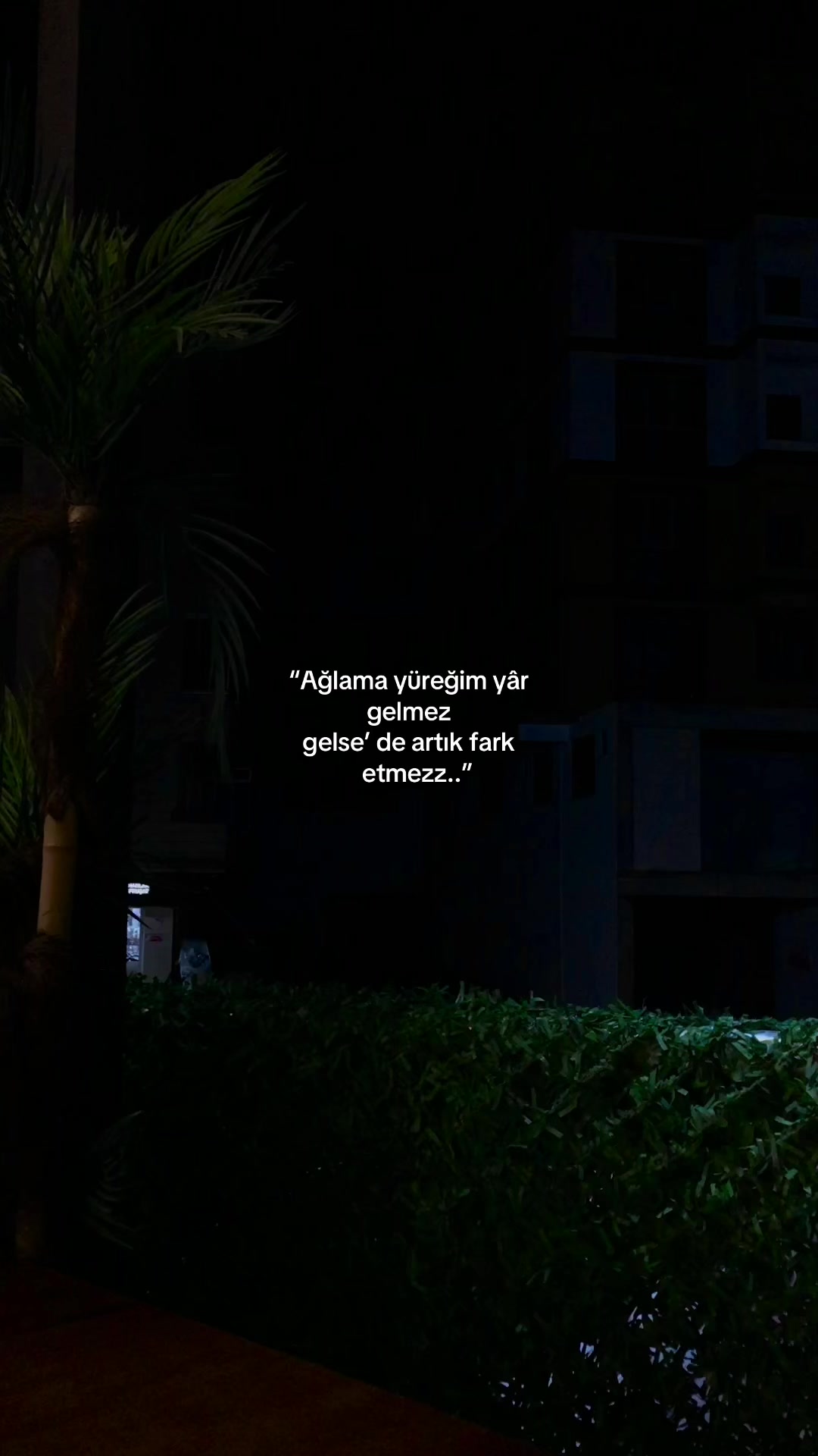 @𝑩&uuml;𝒏𝒚𝒂𝒎𝒊𝒏⚡️