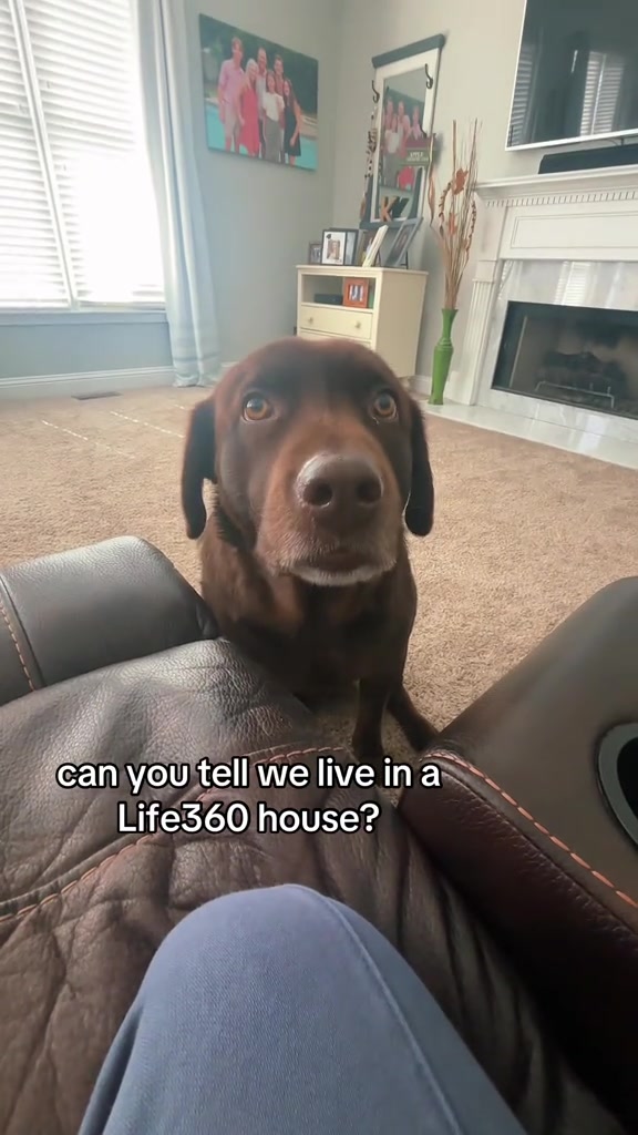 @Life360