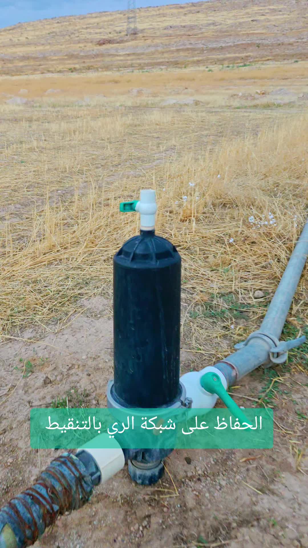 @الفلاحة في مسيلة