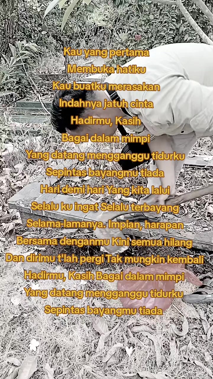 @Belly Saputra