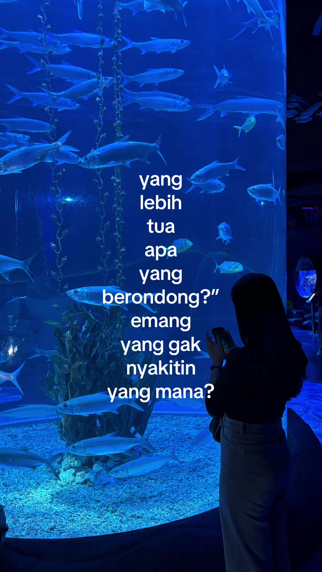 @𝗗𝗶𝗮𝗻𝘆