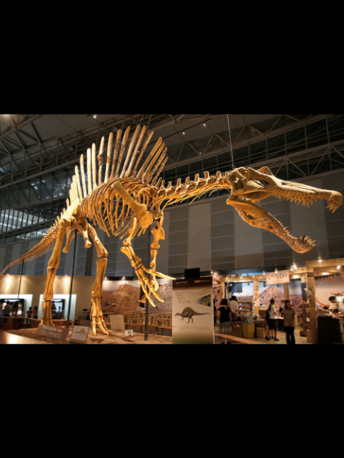 @Extinction Cometh