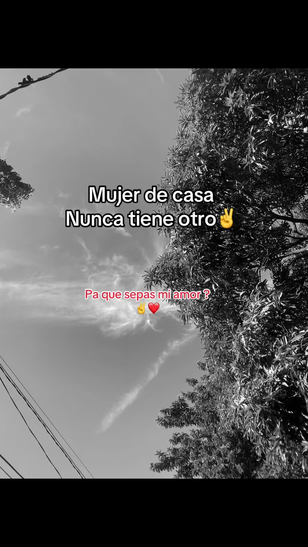 @Carmencita 🇳🇮matagalpina100%