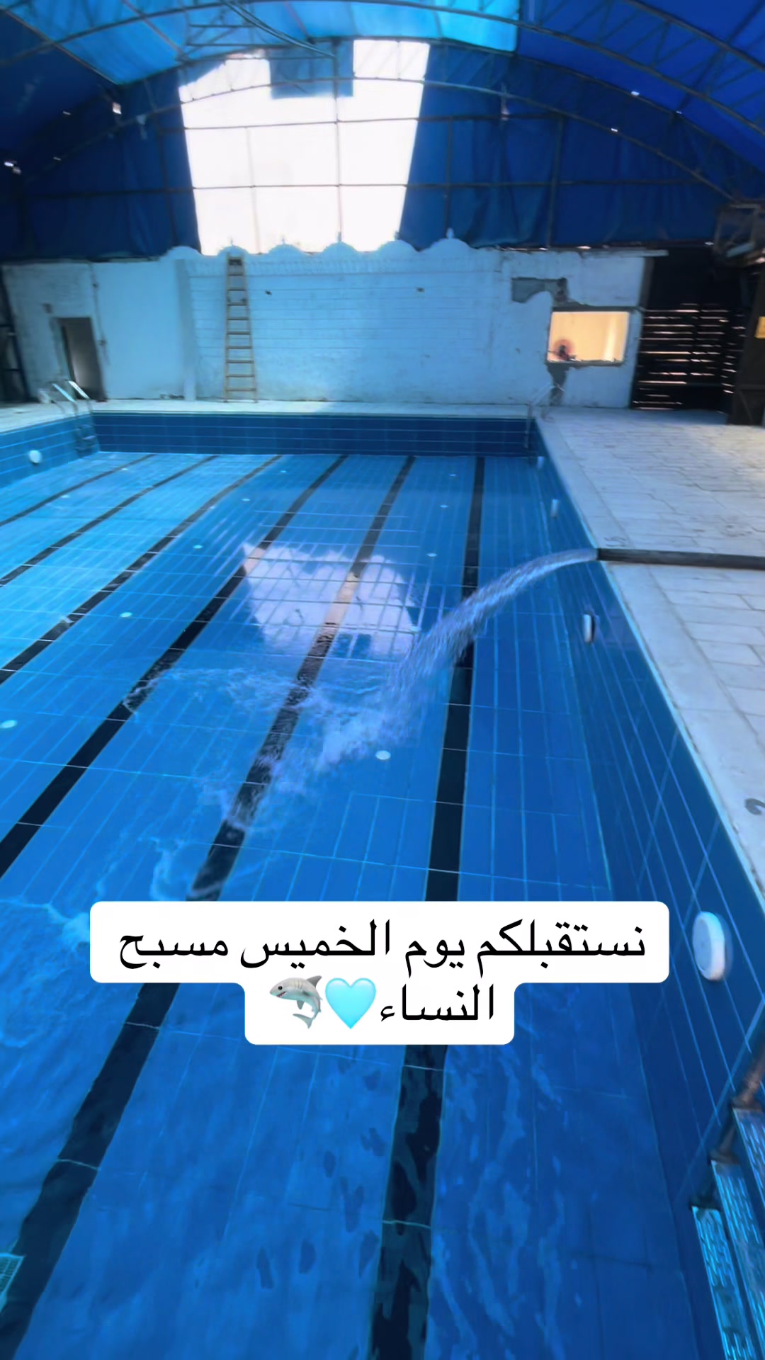 @مسبح الساحل 🏊🏻♂️🏊🏻♂️