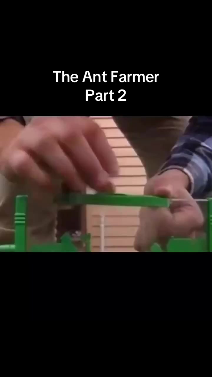 @Aussie Related Stuff