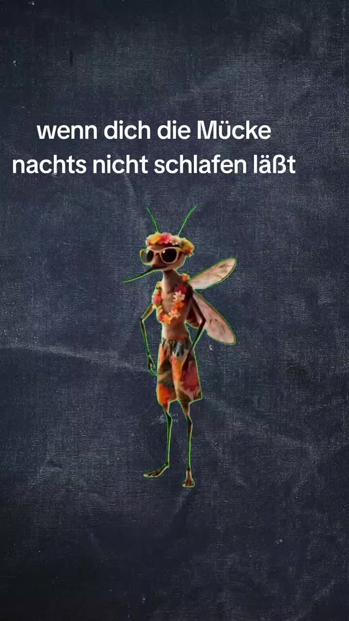 @gino