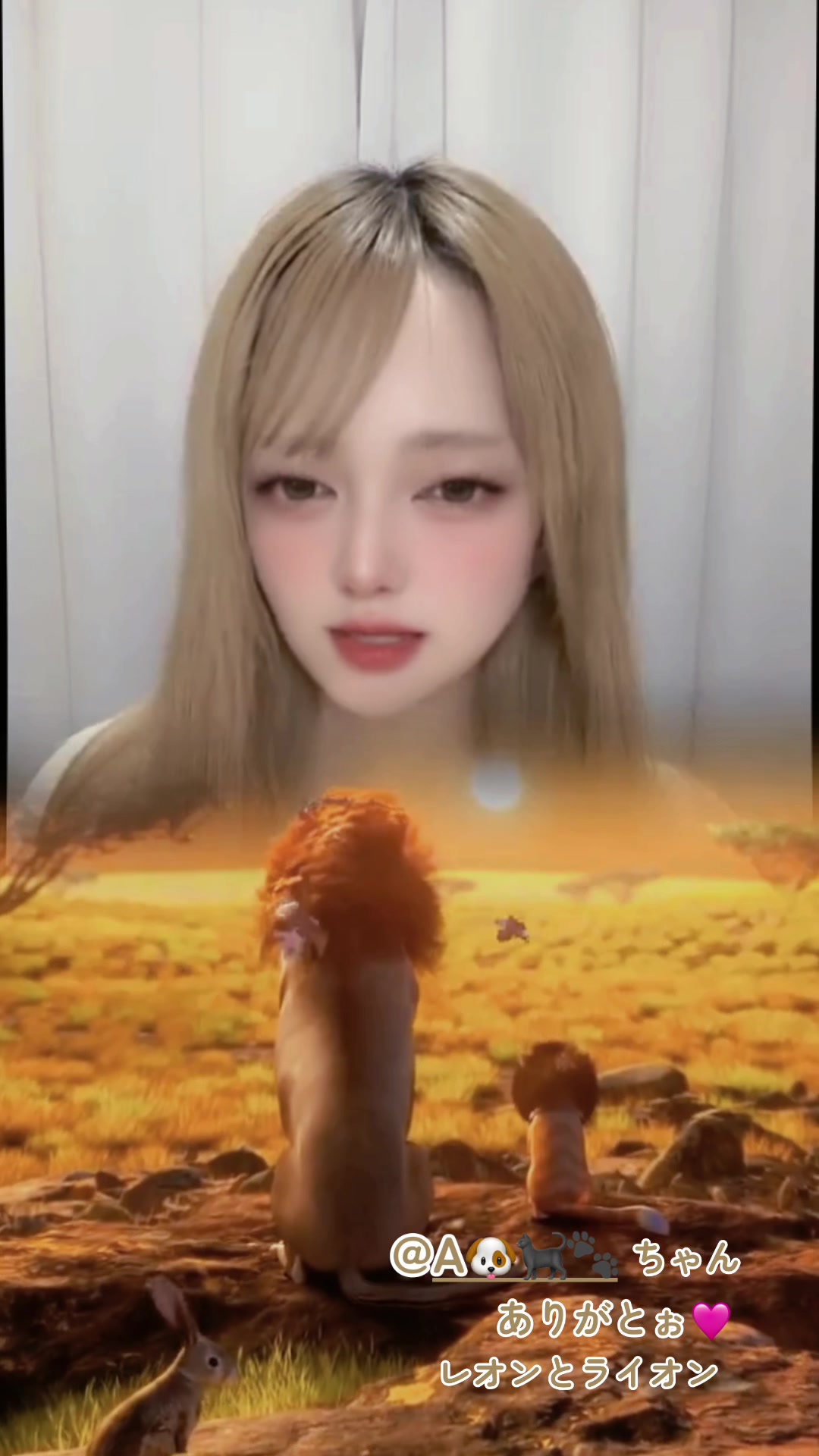 @๐๐ถ๐๐ ๐ถ๐โฌ๐พ