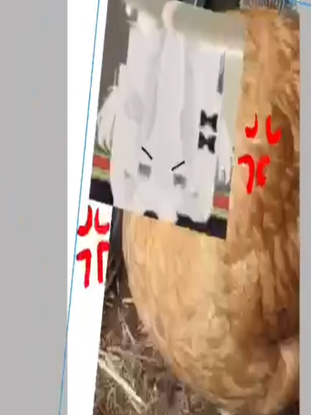 @PU Ni