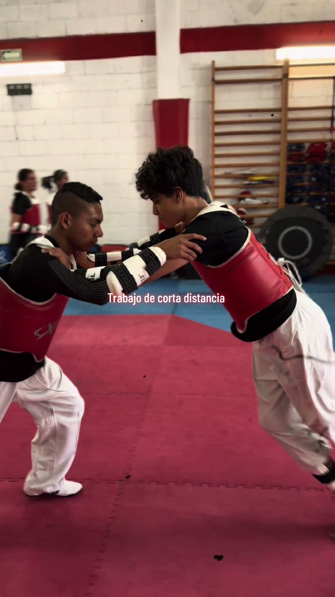 @Especialistas TKD