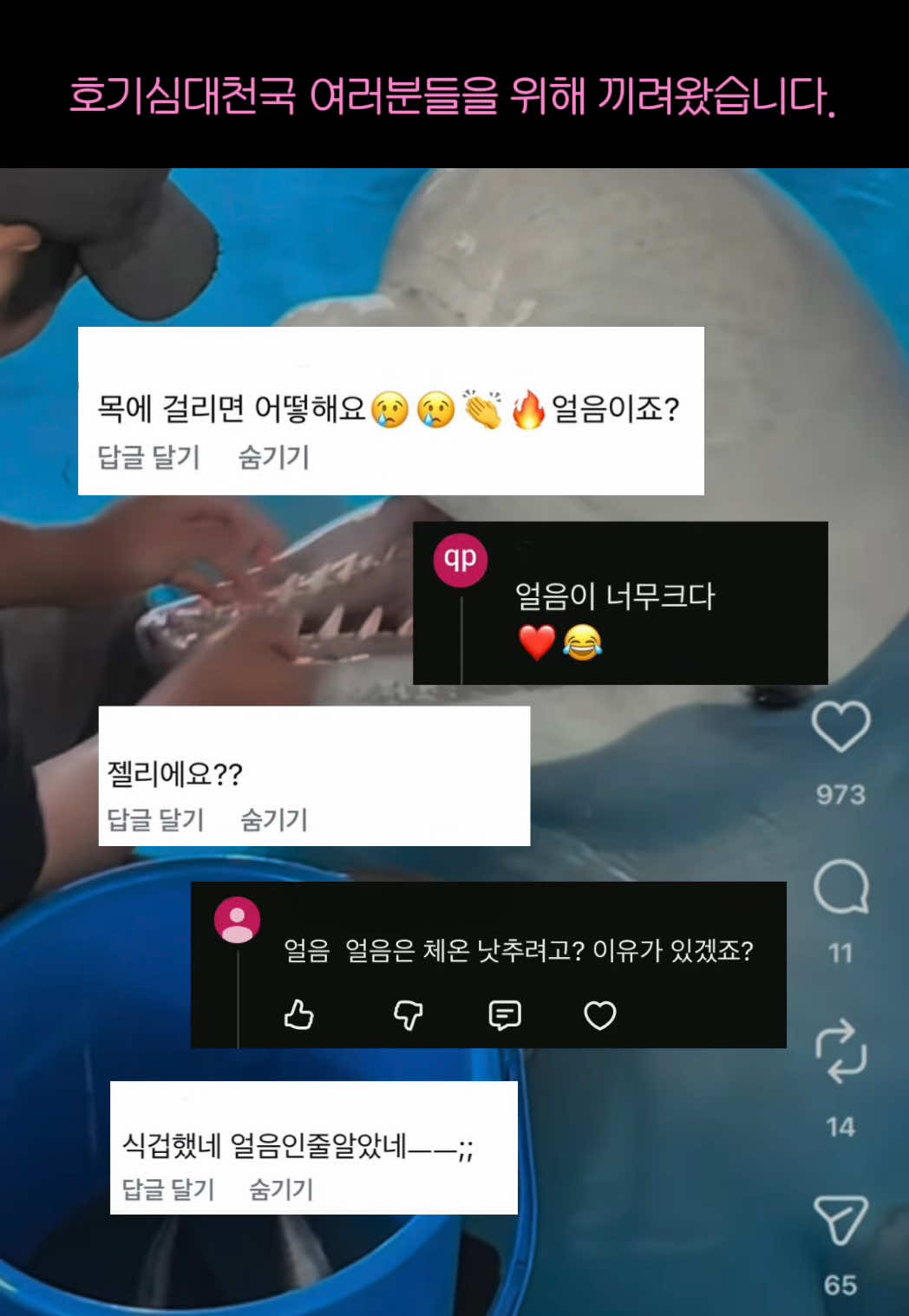 @DolphinTok