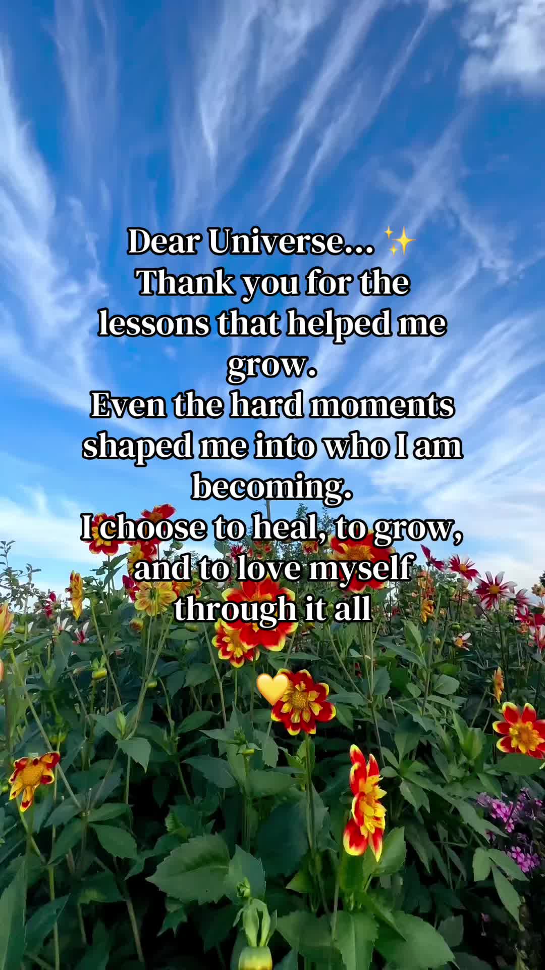 @AbundanceFlow*Manifestation