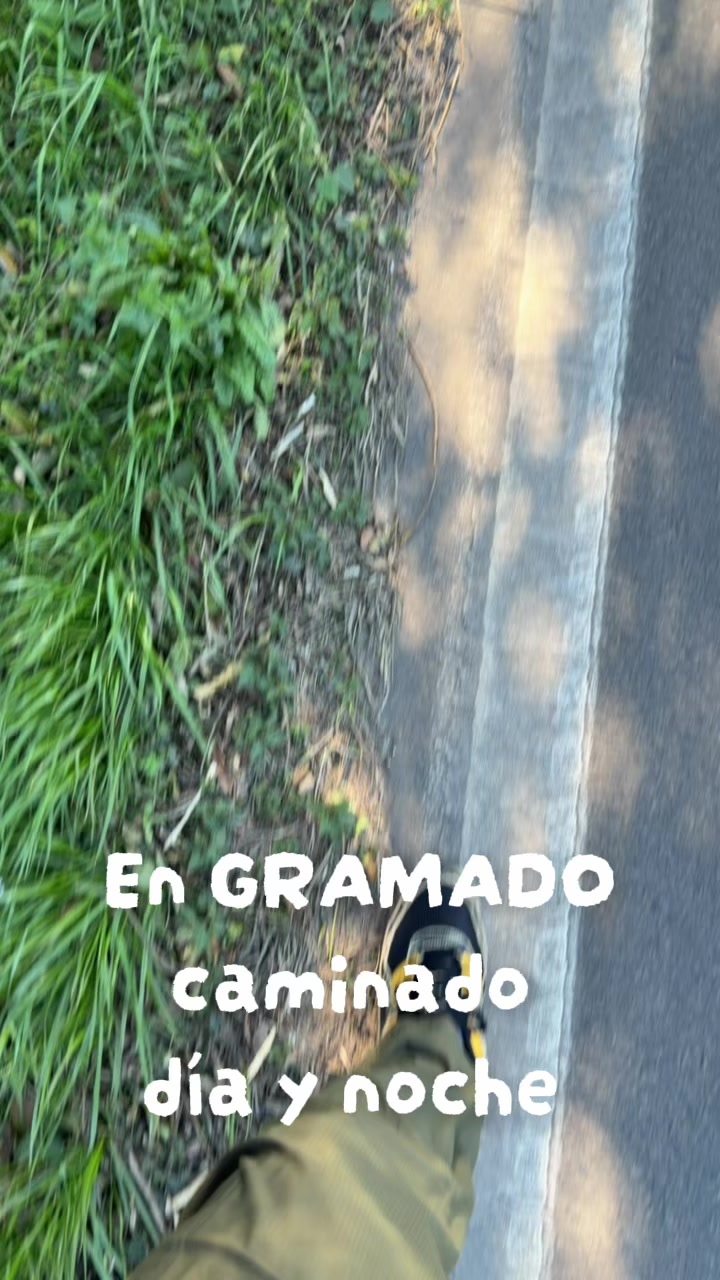 @Fran 457