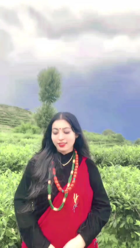 @__puku__❤️🩹🦚🪈