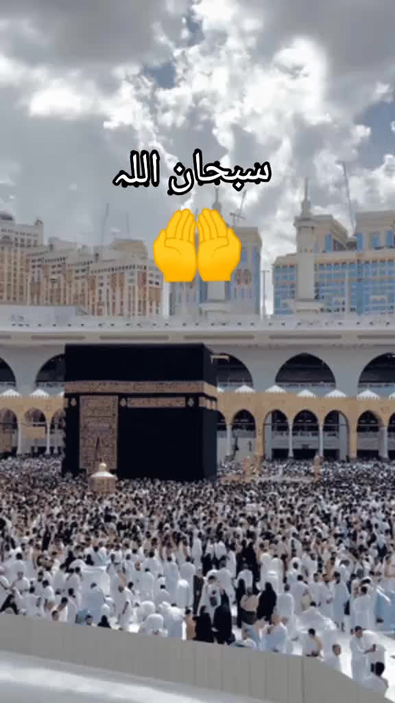 @Hamna Asif 008