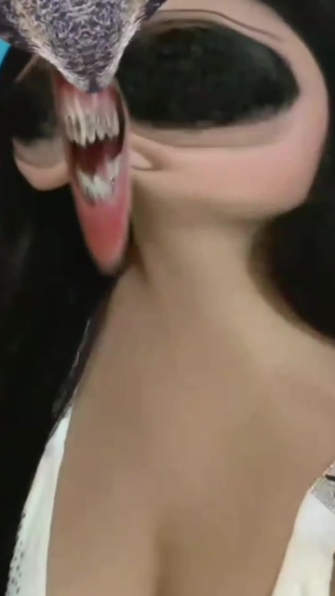 @๐ฌ๐๐๐๐๐๐๐๐ แฆ