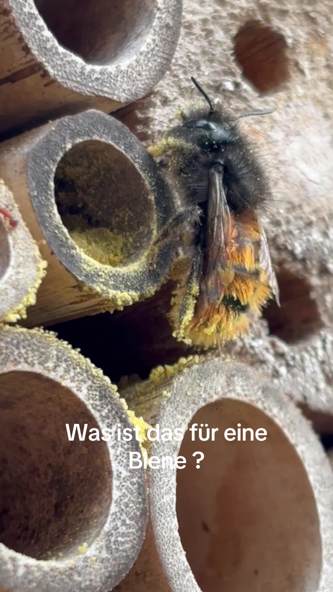 @Wenzel Stoll