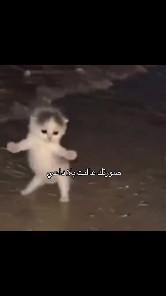 @﮼فليكس…!📌