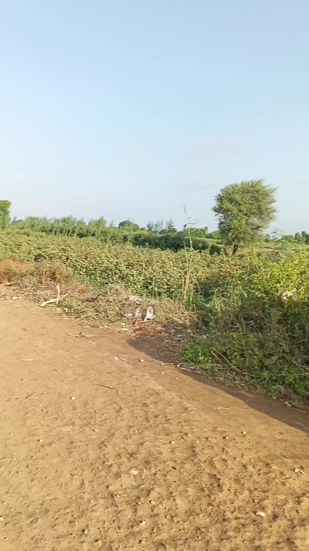 @Mukesh kumar kolhi