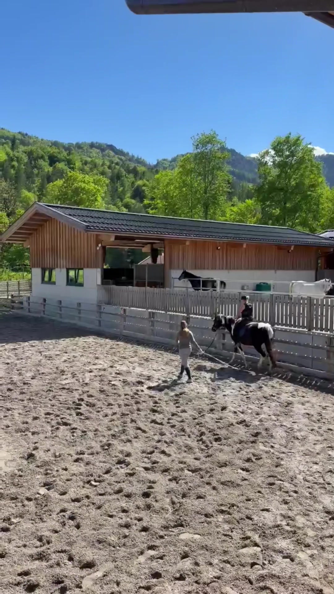 @Mountain Hill Ranch 🇦🇹