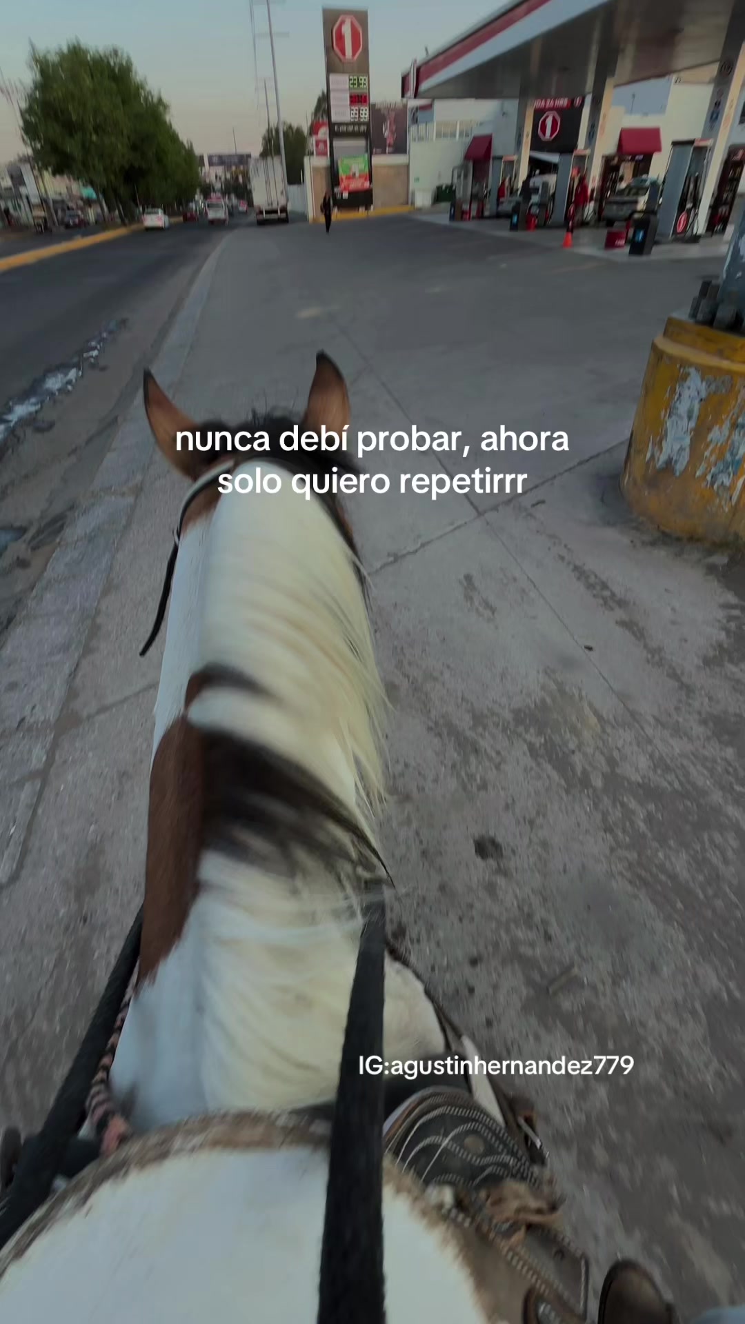 @Agus🩺🐎