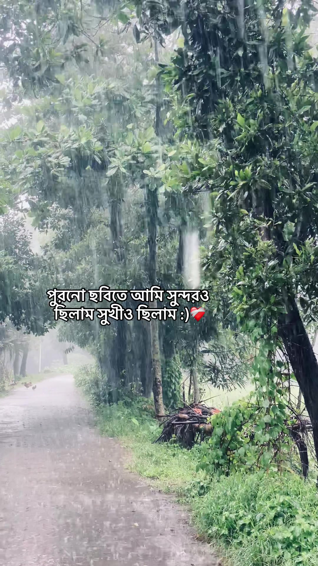 @_নিখোঁজ_