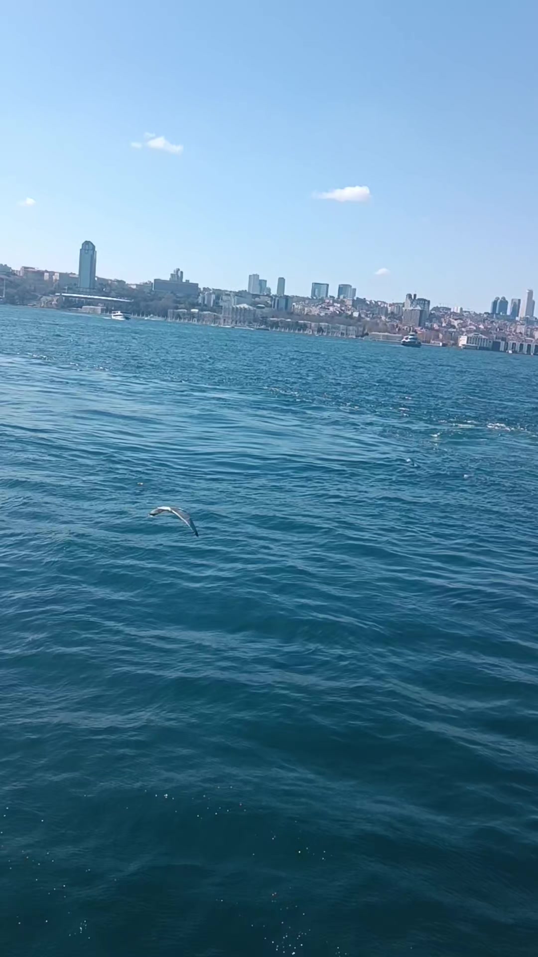 @emrah 7272