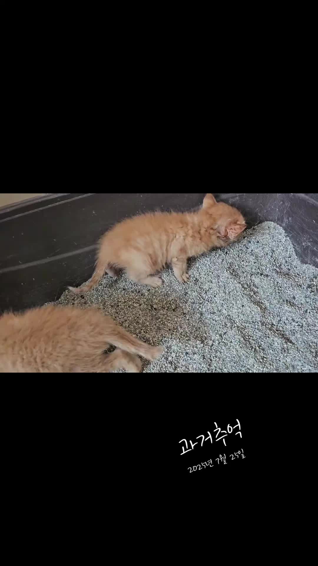 @๐ฉต๋ฅ๋ฅ์ดํ์ฐ์ค 14๋ฅ2๋ฉ๐