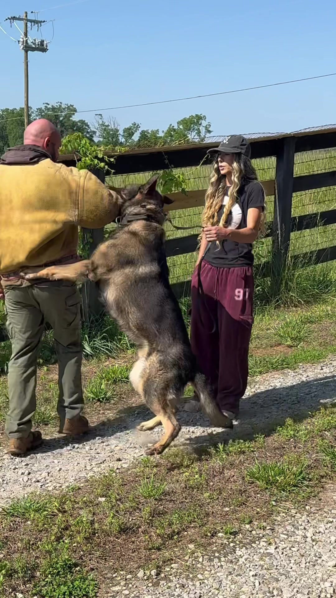 @True Guard K9 I Tara