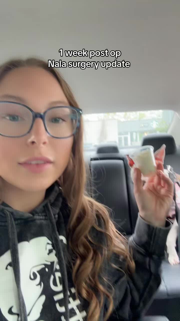 @laurenmonaco