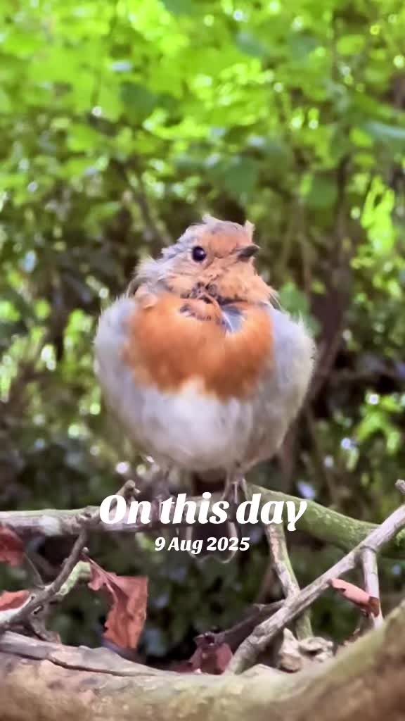 @flora_fauna_fur_feathers