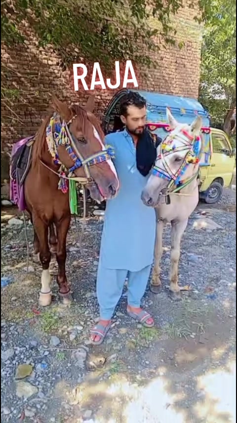 @luqman zaib