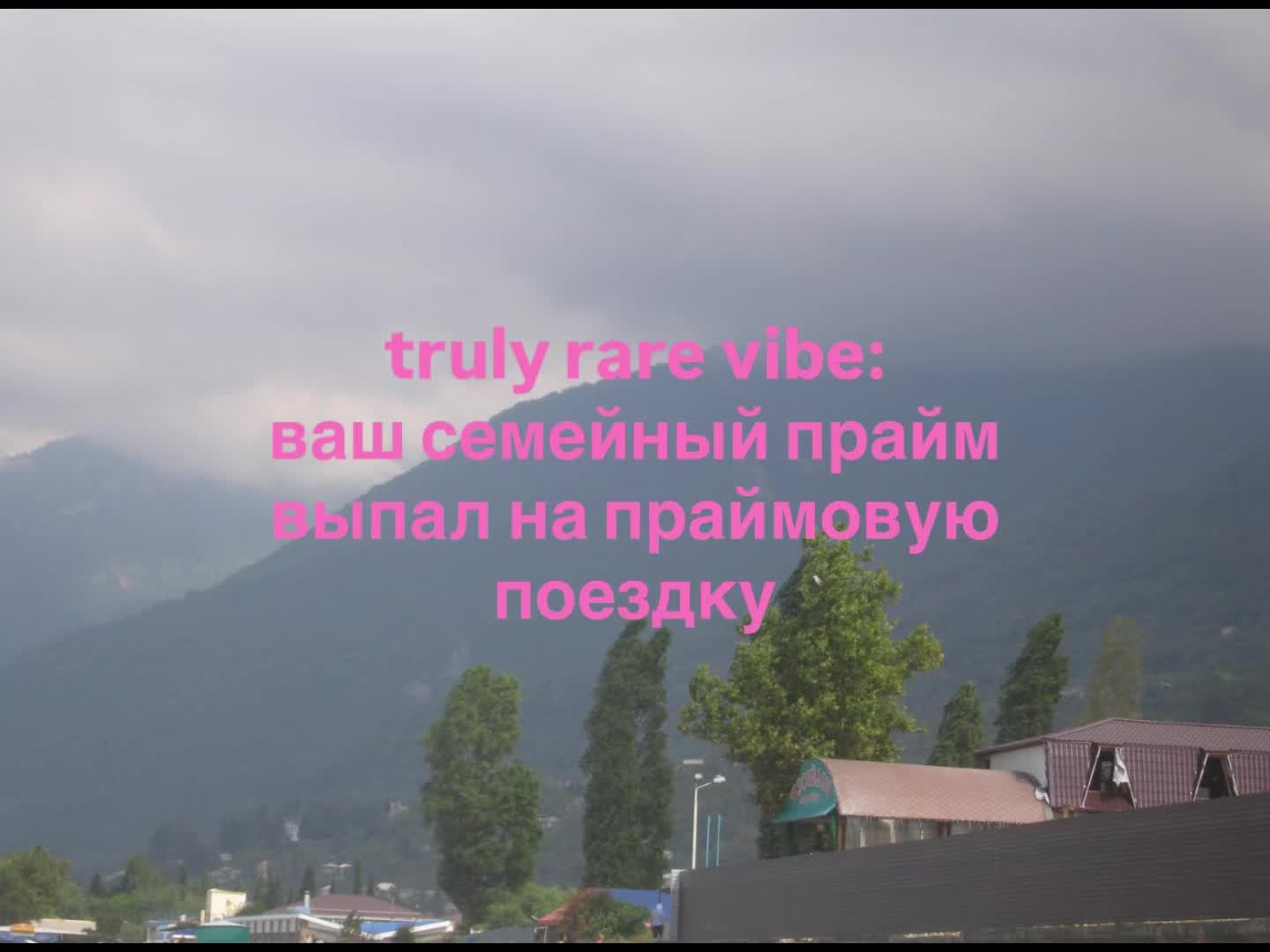 @apollina.png