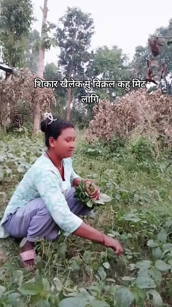 @Sangita Chaudhary