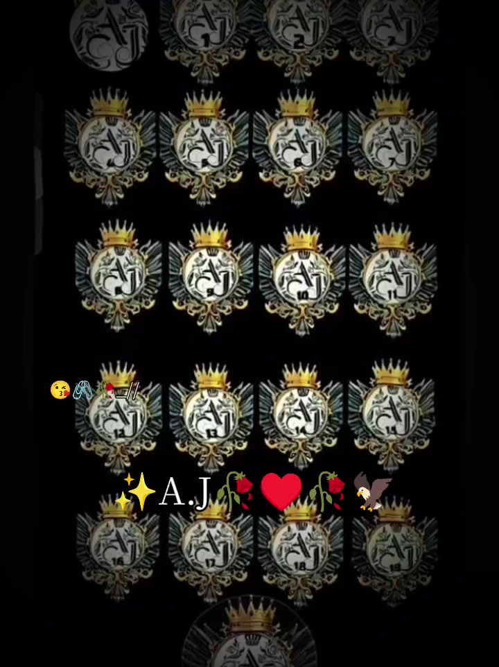 @🦅A.J FALCON 🦅
