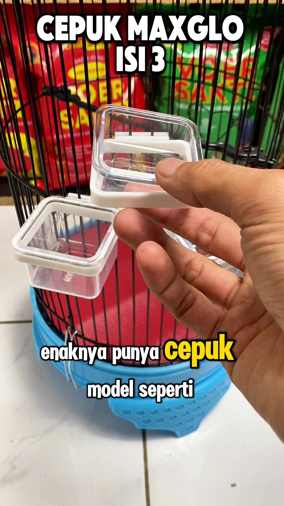 @kicau mart